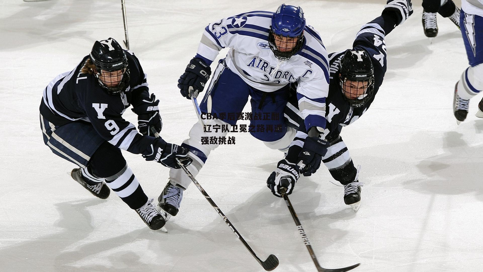 CBA季后赛激战正酣 辽宁队卫冕之路再遇强敌挑战-28圈