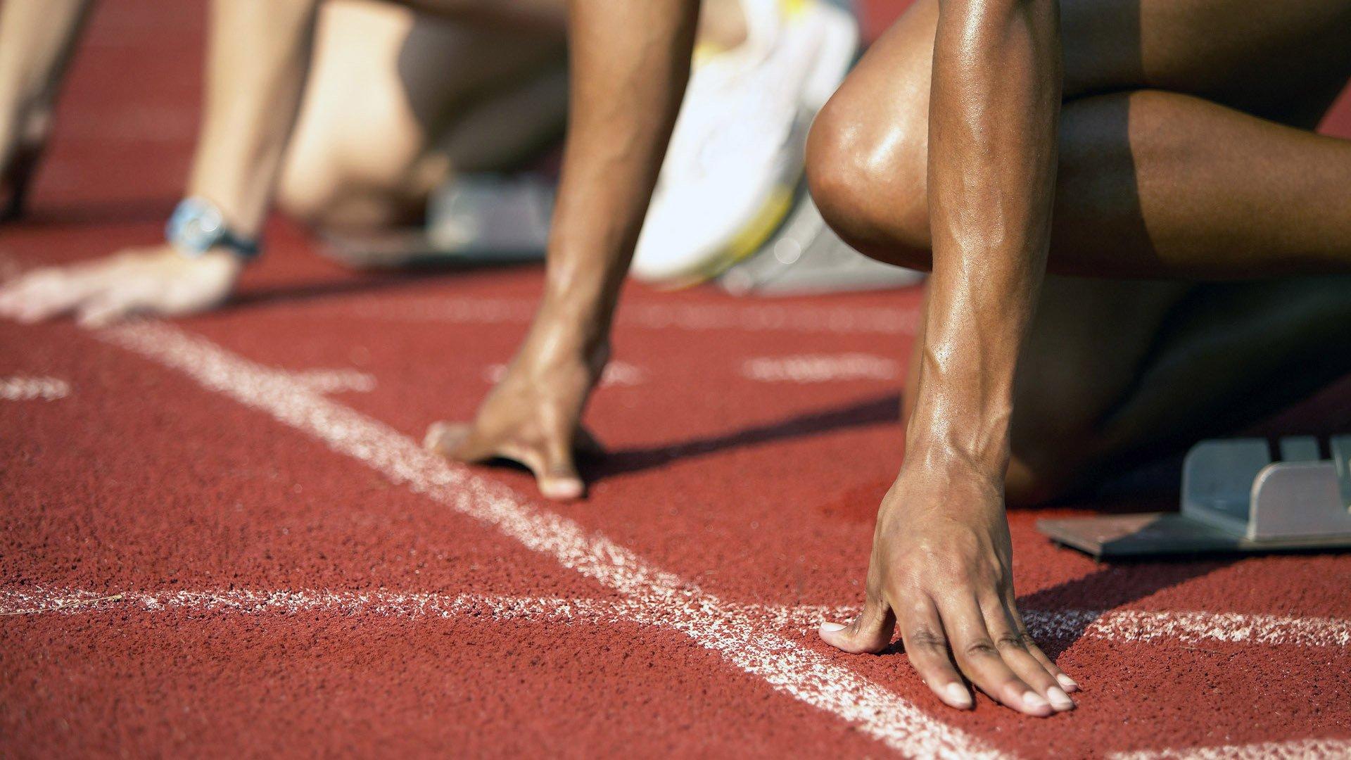 中国游泳队闪耀世锦赛,斩获多枚金牌创历史佳绩